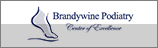 Brandywine Podiatry